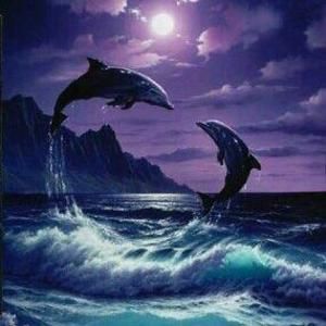 Meet your Posher, Karie