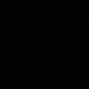 Meet your Posher, Cesar