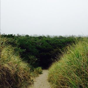 Meet your Posher, Sage