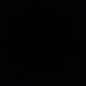 Meet your Posher, Alondra