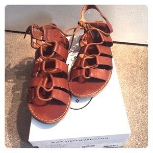 Steve Madden gladiator sandals