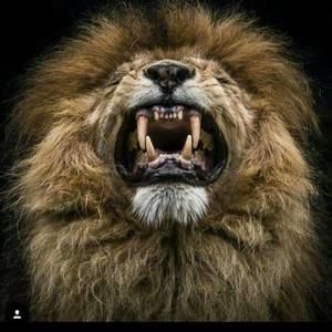 Meet your Posher, Dwayne