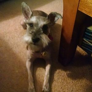 Meet your Posher, Regina