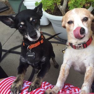 Meet your Posher, Laura