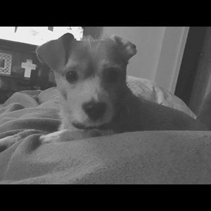 Meet your Posher, Monique