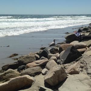 Meet your Posher, Sandy