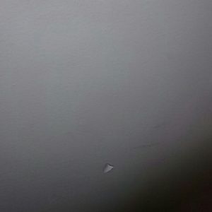 Meet your Posher, Nathan