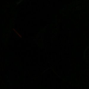 Meet your Posher, Ethan