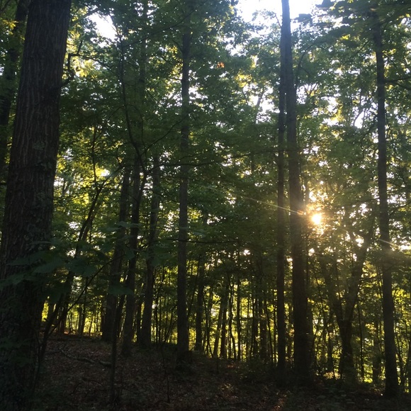 Meet your Posher, Lexxie