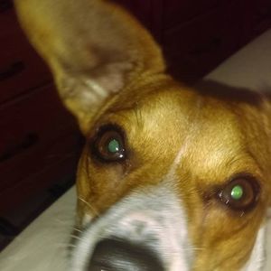 Meet your Posher, Selma