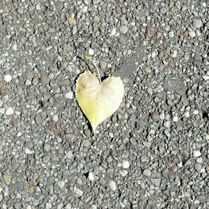 Meet your Posher, Melinda