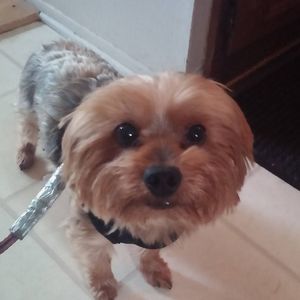 Meet your Posher, Sheila