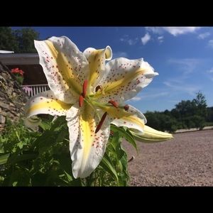 Meet your Posher, Liz