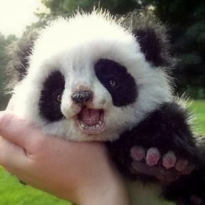 Meet your Posher, Therese