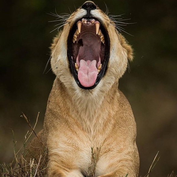 Meet your Posher, Fran