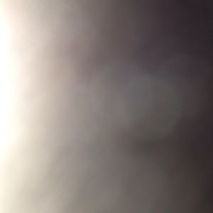 Meet your Posher, Bonnie