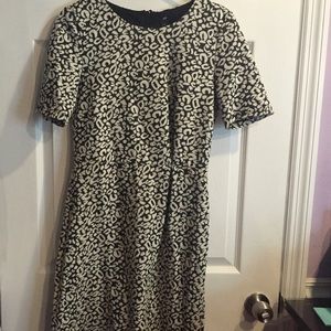 Animal print dress ❗️Final Price