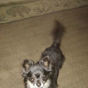 Meet your Posher, Pam