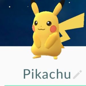 Meet your Posher, Eileen