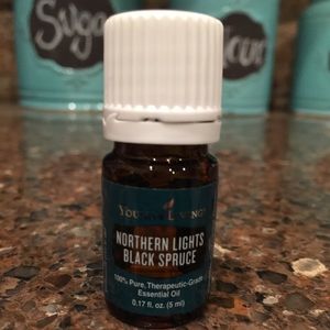 5ml Young Living Northern Lights Black Spruce Oil