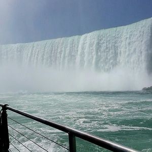 Meet your Posher, Bailey