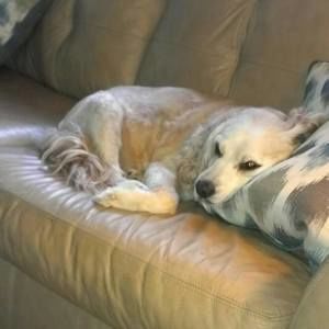 Meet your Posher, Rita