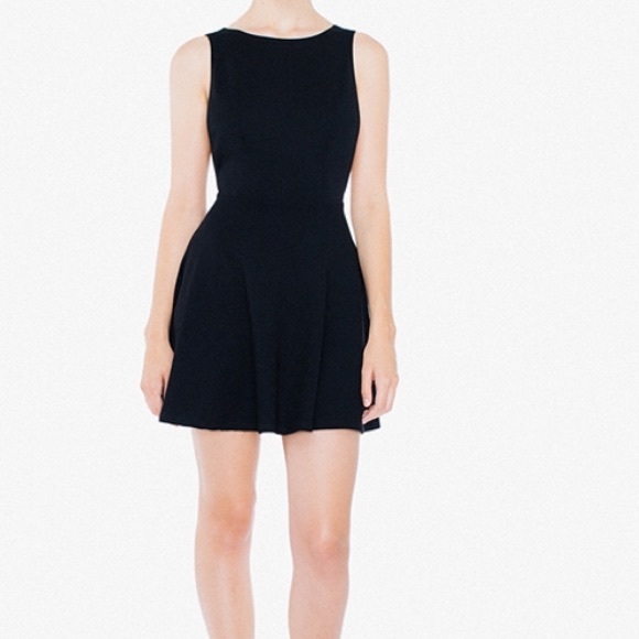 American apparel Pointe Sleeveless skater dress