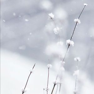 Meet your Posher, Danna