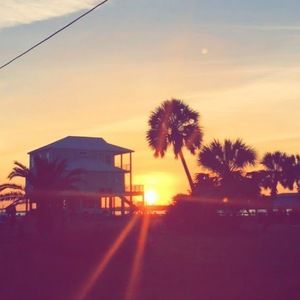 Meet your Posher, Sydney