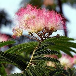 Meet your Posher, Marina