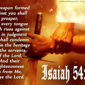 Meet your Posher, Kasey