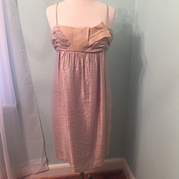 BCBG champagne cocktail dress