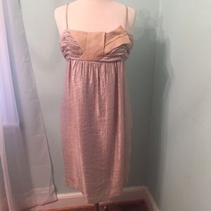 BCBG champagne cocktail dress