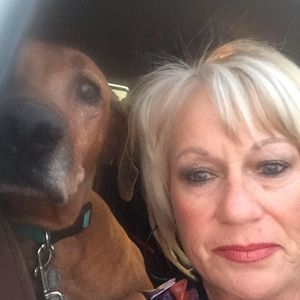 Meet your Posher, Terri