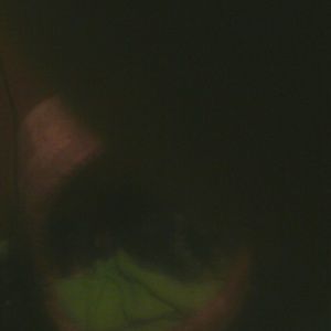 Meet your Posher, Annette