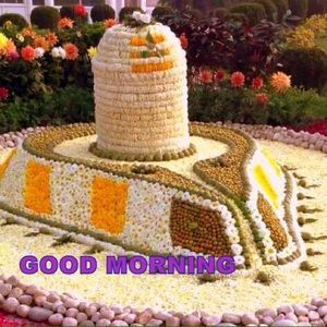 Meet your Posher, Varsha