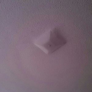 Meet your Posher, Anh