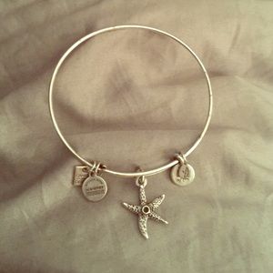 🔴FINAL SALE🔴Alex and Ani silver bangle