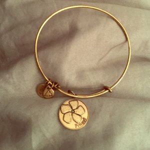 🔴FINAL SALE 8 hours to buy🔴Alex and Ani bangle