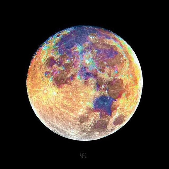 Meet your Posher, Cass - Picture 2 of 2