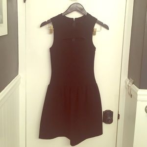 Cynthia Rowley - Black Drop Waist Dress (Size: 2)