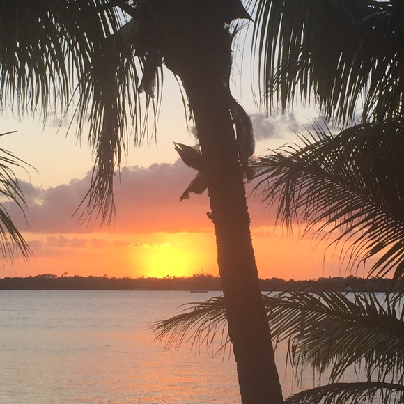 Meet your Posher, Dawn - Picture 1 of 1