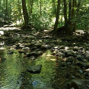 Meet your Posher, Tonia