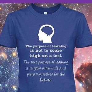 Meet your Posher, Molly