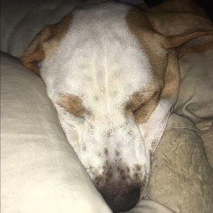 Meet your Posher, Abbi