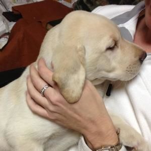 Meet your Posher, Haley