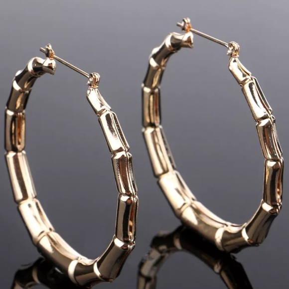 LARGE BAMBOO CIRCLE EARRINGS - Picture 2 of 2