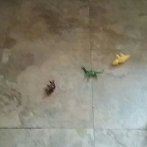 Meet your Posher, Isela