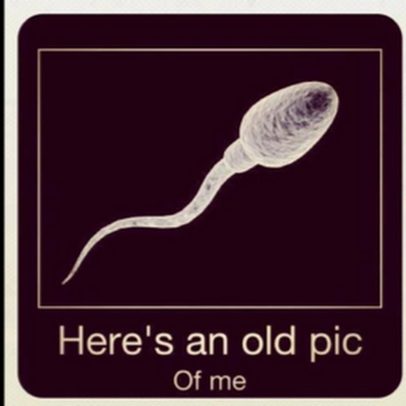 Meet your Posher, Edyee