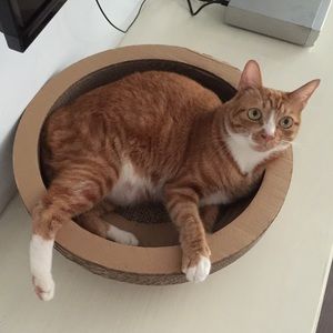 Meet your Posher, Hang